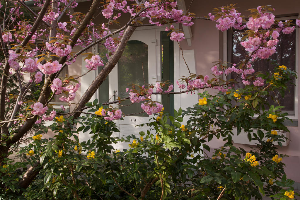 Fabian Panzio Hotel Kecskemet Exterior photo