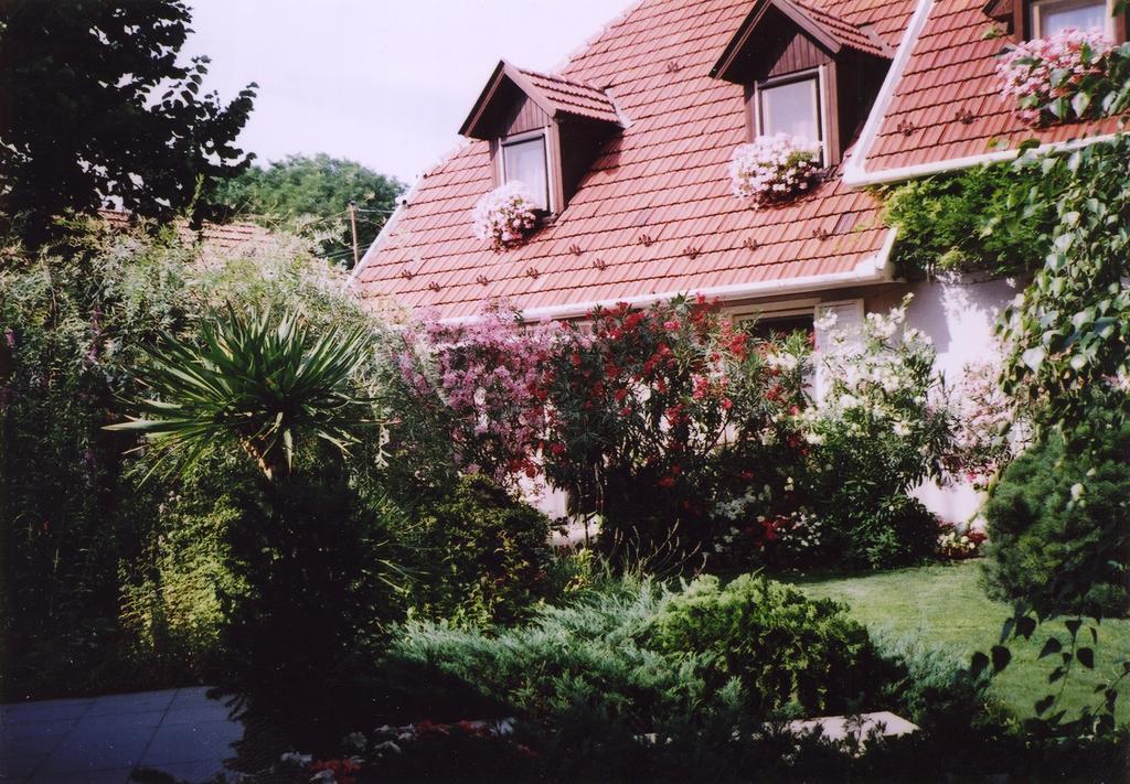 Fabian Panzio Hotel Kecskemet Exterior photo